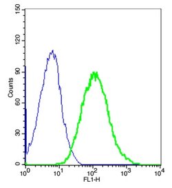 ETL/ELTD1 Rabbit anti-Human, Polyclonal, Bioss 100 &mu;L; Unconjugated:Antibodies,