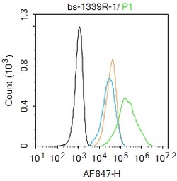 CK18 Polyclonal Antibody, Bioss 100 &mu;L; Unconjugated:Antibodies, Polyclonal