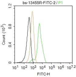 Fibronectin/Ugl-Y3 Polyclonal Antibody, FITC, Bioss 100 &mu;L | Buy Online | Bioss | Fisher Scientific