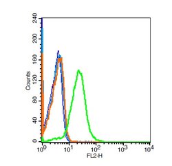 GPR110 Rabbit anti-Human, Polyclonal, Bioss 100 &mu;L; Unconjugated:Antibodies,