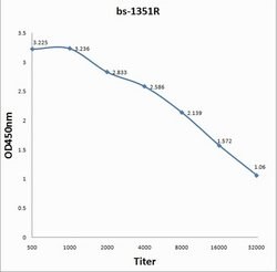 pan Granzyme Rabbit anti-Human, Polyclonal, Bioss 100 &mu;L; Unconjugated:Antibodies,