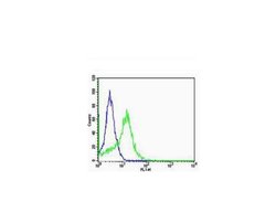 Integrin Alpha V + Beta 5 Rabbit anti-Human Mouse Rat, Polyclonal, Bioss