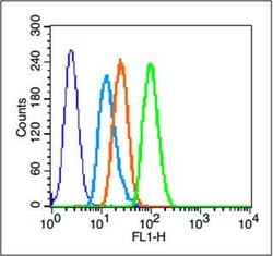 GPR30 Rabbit anti-Human, Polyclonal, Bioss 100 &mu;L; Unconjugated:Antibodies,
