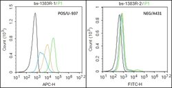 CD13/APN/ANPEN Rabbit anti-Human, Polyclonal, Bioss 100 &mu;L; Unconjugated:Antibodies,