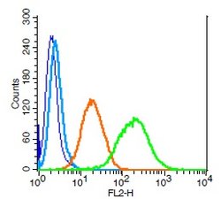 LIFR/CD118 Rabbit anti-Human, Polyclonal, Bioss 100 &mu;L; Unconjugated:Antibodies,