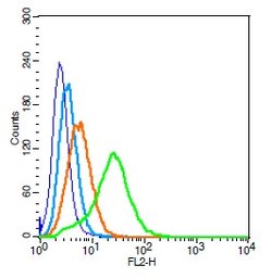 PAFR Rabbit anti-Human, Polyclonal, Bioss 100 &mu;L; Unconjugated:Antibodies,
