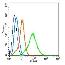 EpCAM/CD326 Rabbit anti-Human, Polyclonal, Bioss 100 &mu;L; Unconjugated:Antibodies,