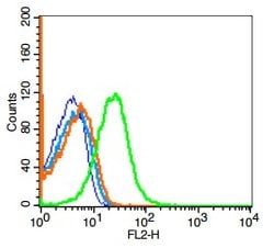GPCR EX33 Rabbit anti-Human, Polyclonal, Bioss 100 &mu;L; Unconjugated:Antibodies,