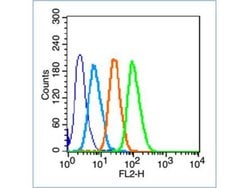 AP-TNAP/ALPL Rabbit anti-Human, Polyclonal, Bioss 100 &mu;L; Unconjugated:Antibodies,