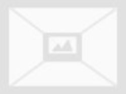 ZNT8 Rabbit anti-Human, Polyclonal, Bioss 100 &mu;L; Unconjugated:Antibodies,
