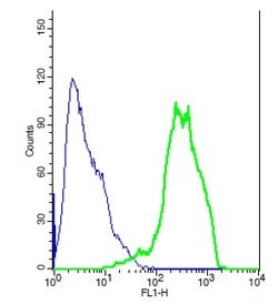 ENPP3/CD203c Rabbit anti-Human, Polyclonal, Bioss 100 &mu;L; Unconjugated:Antibodies,