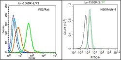 ENPP3/CD203c Rabbit anti-Human, Polyclonal, Bioss 100 &mu;L; Unconjugated:Antibodies,