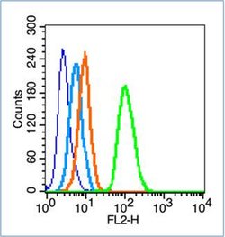 Phospho-FAK (Tyr577) Rabbit anti-Human, Polyclonal, Bioss 100 &mu;L | Buy Online | Bioss | Fisher Scientific