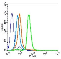 CD15/Fut4/SSEA-1 Rabbit anti-Human, Polyclonal, Bioss 100 &mu;L; Unconjugated:Antibodies,