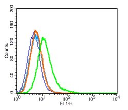 DAT/Dopamine transporter Rabbit anti-Human, Polyclonal, Bioss 100 &mu;L;