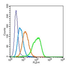 Integrin alpha L/CD11a Rabbit anti-Human, Polyclonal, Bioss 100 &mu;L;