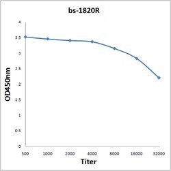 HMGB4 Rabbit anti-Human, Polyclonal, Bioss 100 &mu;L | Buy Online | Bioss | Fisher Scientific