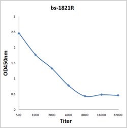 ICAM3/CD50 Rabbit anti-Human, Polyclonal, Bioss 100 &mu;L; Unconjugated:Antibodies,