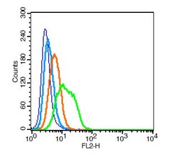 Integrin alpha 1 Rabbit anti-Human, Polyclonal, Bioss 100 &mu;L; Unconjugated:Antibodies,