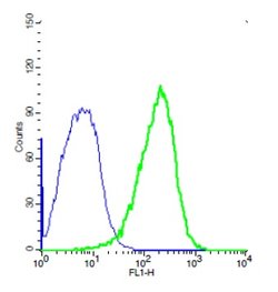 TEM1/CD248 Rabbit anti-Human, Polyclonal, Bioss 100 &mu;L; Unconjugated:Antibodies,