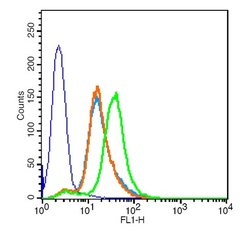 CXCR3/CD183 Rabbit anti-Human, Polyclonal, Bioss 100 &mu;L; Unconjugated:Antibodies,