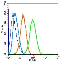 PERK Rabbit anti-Human, Polyclonal, Bioss 100 &mu;L; Unconjugated:Antibodies,