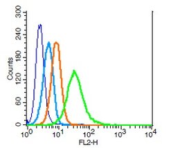 IL-2R gamma Rabbit anti-Human, Polyclonal, Bioss 100 &mu;L; Unconjugated:Antibodies,