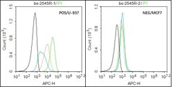 IL-2R gamma Rabbit anti-Human, Polyclonal, Bioss 100 &mu;L; Unconjugated:Antibodies,