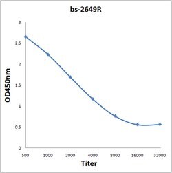 Lck/p56-LCK Rabbit anti-Human, Polyclonal, Bioss 100 &mu;L; Unconjugated:Antibodies,