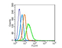 LRP1/CD91 Rabbit anti-Human, Polyclonal, Bioss 100 &mu;L; Unconjugated:Antibodies,