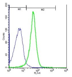 NFAM1 Rabbit anti-Human, Polyclonal, Bioss 100 &mu;L; Unconjugated:Antibodies,
