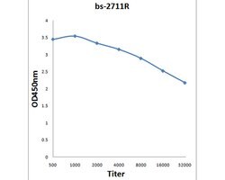 IL-27RA Rabbit anti-Human, Polyclonal, Bioss 100 &mu;L; Unconjugated:Antibodies,