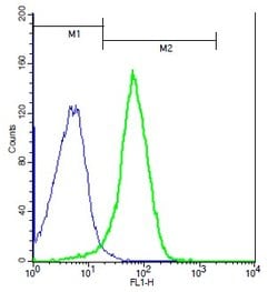 IL-27RA Rabbit anti-Human, Polyclonal, Bioss 100 &mu;L; Unconjugated:Antibodies,