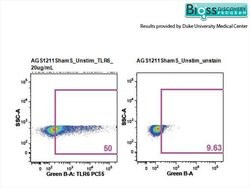 TLR6 Rabbit anti-Human, Polyclonal, Bioss 100 &mu;L; Unconjugated:Antibodies,