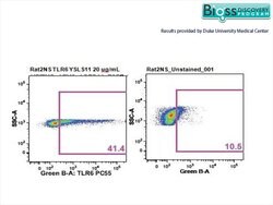 TLR6 Rabbit anti-Human, Polyclonal, Bioss 100 &mu;L; Unconjugated:Antibodies,