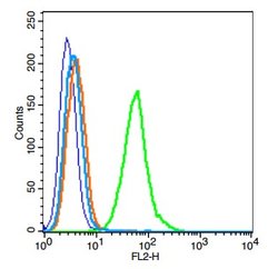 TLR6 Rabbit anti-Human, Polyclonal, Bioss 100 &mu;L; Unconjugated:Antibodies,