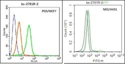 CACNA1G Rabbit anti-Human, Polyclonal, Bioss 100 &mu;L; Unconjugated:Antibodies,