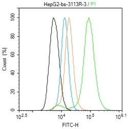 Phospho-Doublecortin (Ser47) Rabbit anti-Human, Polyclonal, Bioss 100 &mu;L;
