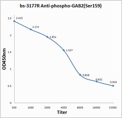 Phospho-GAB2 (Ser159) Rabbit anti-Human, Polyclonal, Bioss 100 &mu;L | Buy Online | Bioss | Fisher Scientific