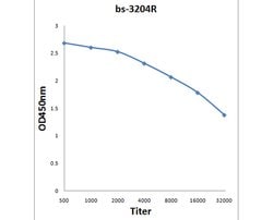 Phospho-IRS1 (Tyr896) Rabbit anti-Human, Polyclonal, Bioss 100 &mu;L; Unconjugated:Antibodies,