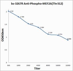 Phospho-MEF2A (Thr312) Rabbit anti-Human, Polyclonal, Bioss 100 &mu;L | Buy Online | Bioss | Fisher Scientific