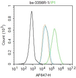 Phospho-Progesterone Receptor (Ser190) Polyclonal Antibody, Bioss 100 &mu;L | Buy Online | Bioss | Fisher Scientific