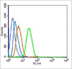 Phospho-P53 (Ser315) Rabbit anti-Human, Polyclonal, Bioss 100 &mu;L | Buy Online | Bioss | Fisher Scientific