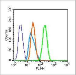 Histone H3 (tri methyl K37) Polyclonal Antibody, Bioss 100 &mu;L; Unconjugated:Antibodies,
