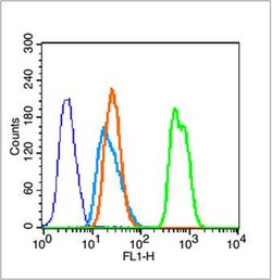 Acetyl-Histone H3 (Lys23) Rabbit anti-Human, Polyclonal, Bioss 100 &mu;L;