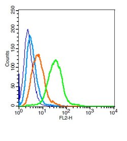 BCMA/CD269 Rabbit anti-Human, Polyclonal, Bioss 100 &mu;L; Unconjugated:Antibodies,