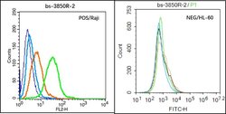 BCMA/CD269 Rabbit anti-Human, Polyclonal, Bioss 100 &mu;L; Unconjugated:Antibodies,