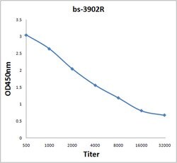 Dio3 Rabbit anti-Human, Polyclonal, Bioss 100 &mu;L; Unconjugated:Antibodies,