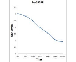 NDUFV1 Rabbit anti-Human, Polyclonal, Bioss 100 &mu;L; Unconjugated:Antibodies,