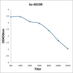 Thromboxane synthase Rabbit anti-Human, Polyclonal, Bioss 100 &mu;L; Unconjugated:Antibodies,